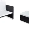 VidaXL 2-tlg. Garten-Lounge-Set Mit Auflagen Poly Rattan Schwarz