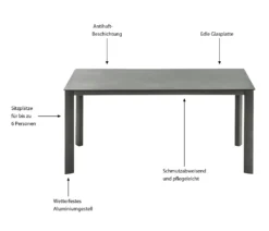 Dehner Gartentisch Nancy, Mit Antihaft-Beschichtung, 160 X 75 X 90 Cm, Aluminium/Glas, Grau -Stil Beet Verkaufsgeschäft f1d415e23a98d3e562dc5d2acc2a36ab
